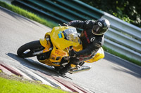 brands-hatch-photographs;brands-no-limits-trackday;cadwell-trackday-photographs;enduro-digital-images;event-digital-images;eventdigitalimages;no-limits-trackdays;peter-wileman-photography;racing-digital-images;trackday-digital-images;trackday-photos